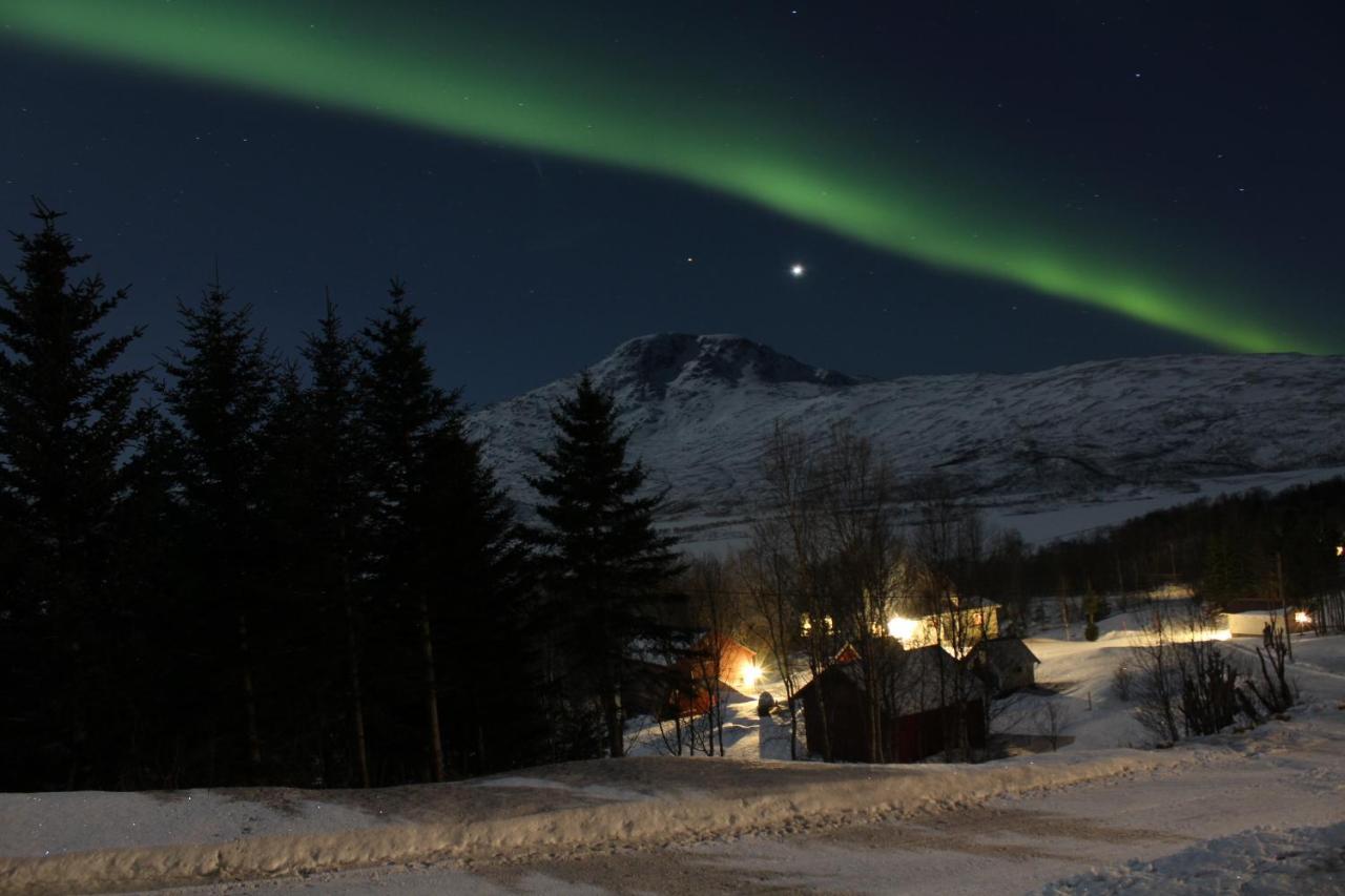 Fjoset Lägenhet Hansnes Exteriör bild